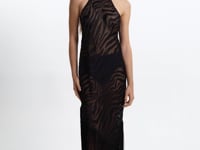 JENNINE | Sheer Zebra Dress