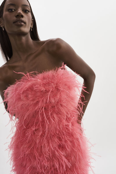 TRIANA | Feather Dress